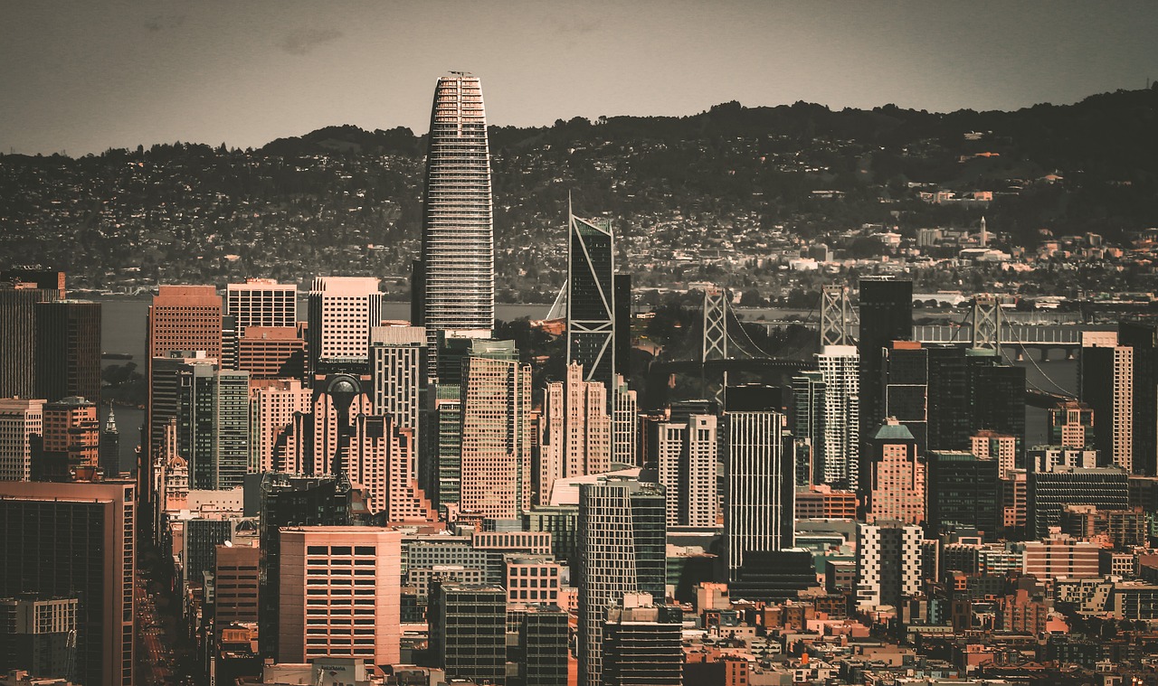 到教练生涯 到教练生涯