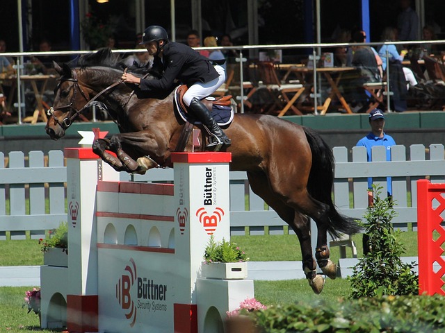 高对抗性的 高对抗性的