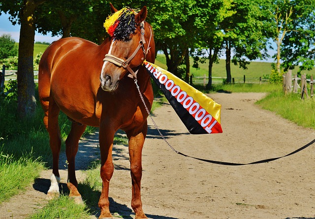 确实差强人 确实差强人