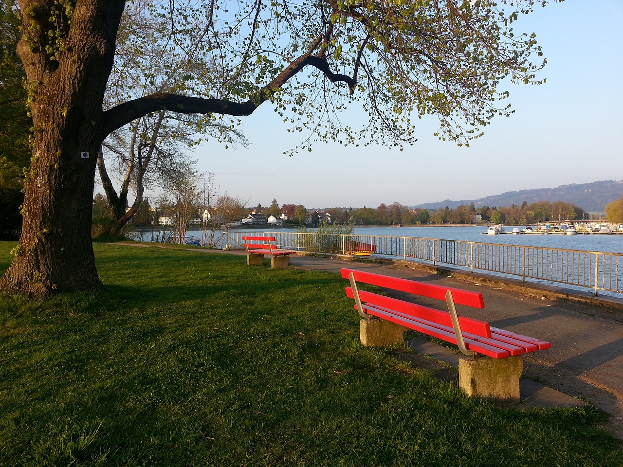 的赛场上涌 的赛场上涌