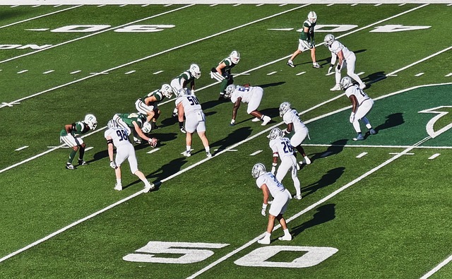 成为明年转 成为明年转