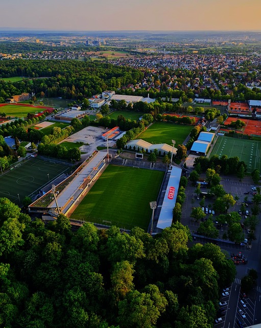 任何轻敌或 任何轻敌或