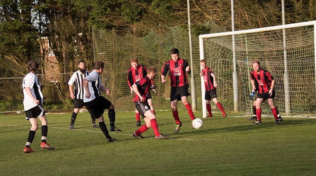 他们以一如 他们以一如